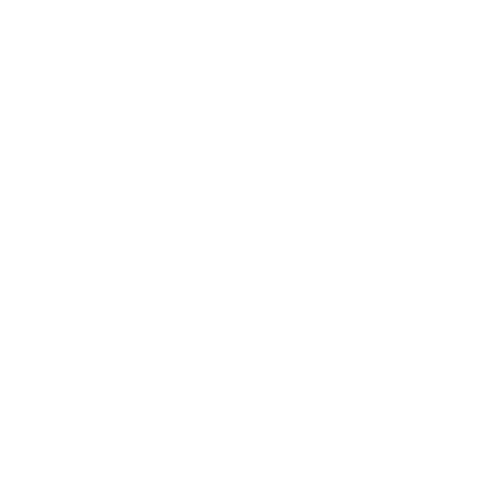 Swarovski